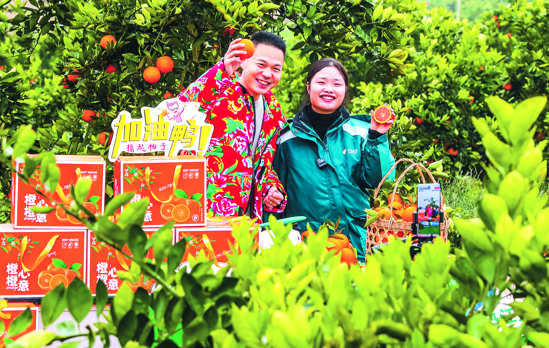 DD14AE94C9046822748C0ECFBF60ED5A