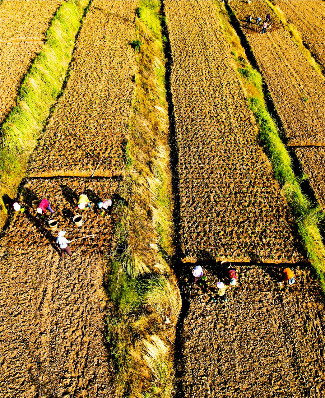 QQ图片20241028200540